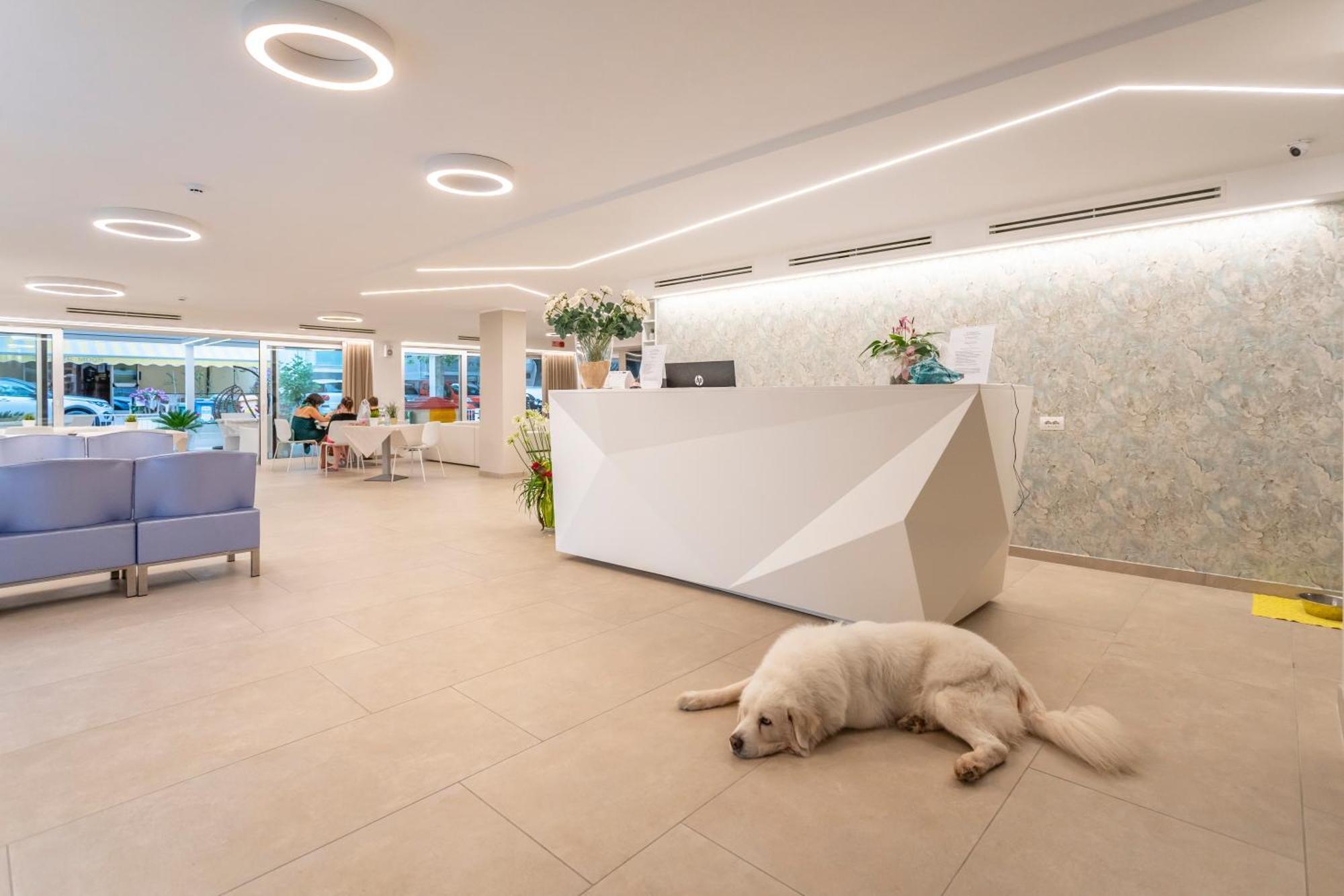 Hotel San Domingo Bellaria-Igea Marina Extérieur photo